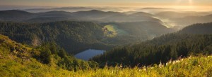 Feldsee